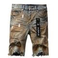 Purple Brand Denim Shorts #5012